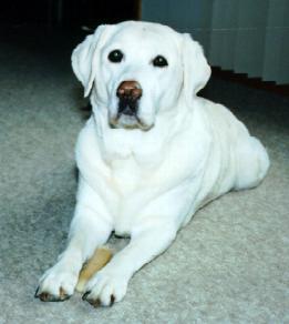 Kelly 10 years old