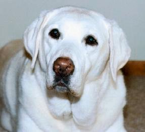Last picture taken of Kelly